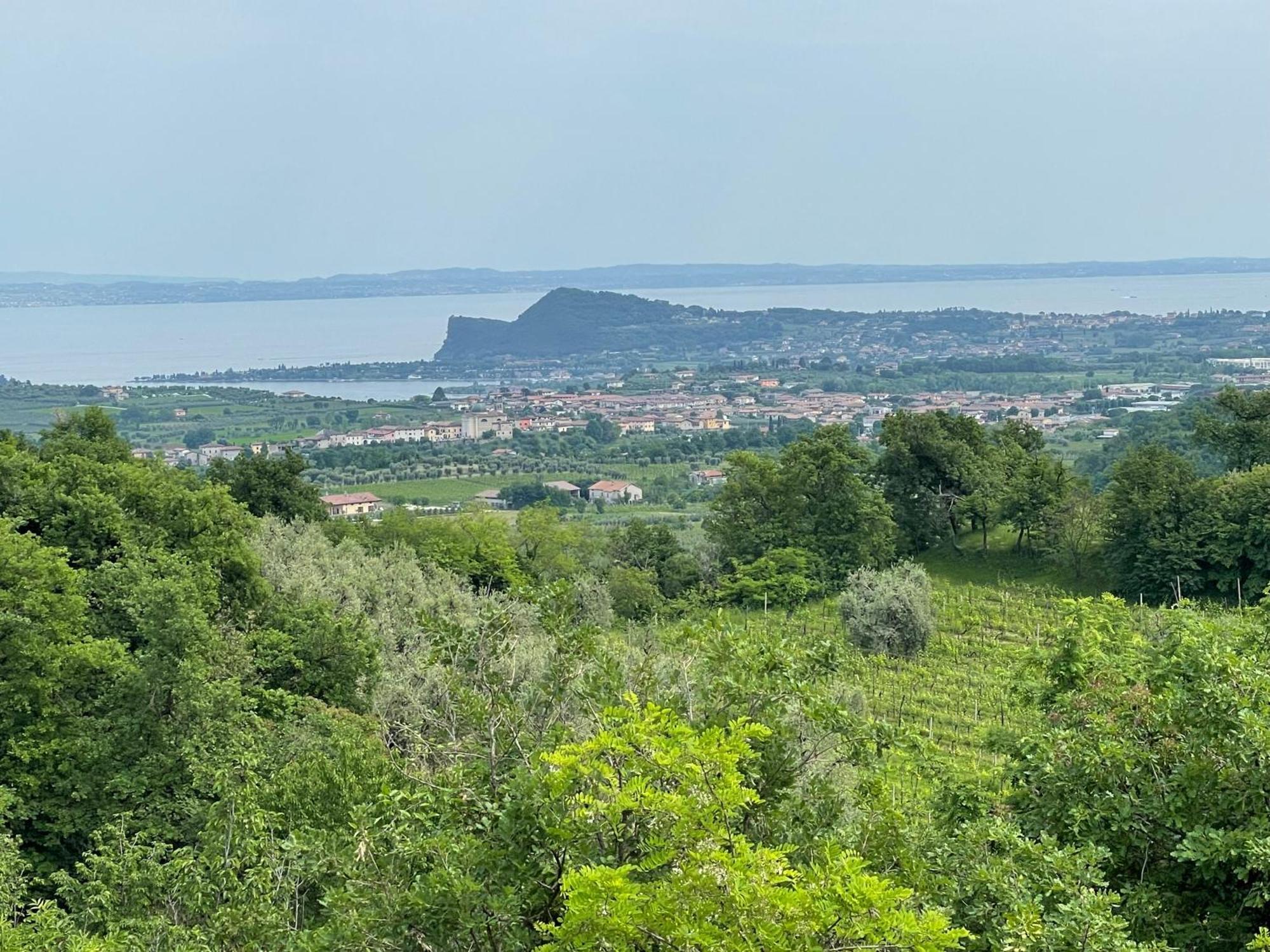 Villa Maria Apartments Moniga del Garda Kültér fotó